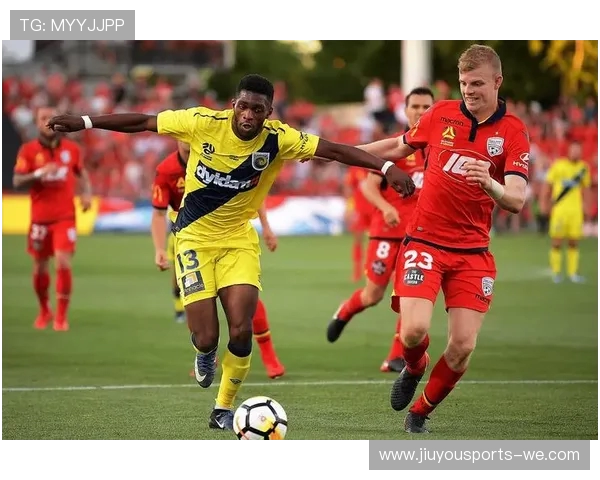 全面解析各大联赛球队赛季数据与表现趋势